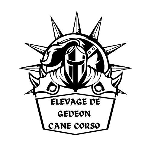 De Gédéon